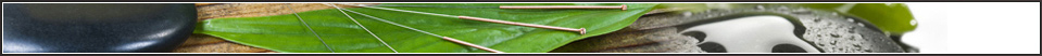 Coquitlam Integrated Health